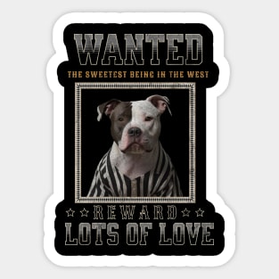 Wanted Pitbull Love Sticker